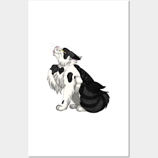 Black Bicolor Tabby Longhair Posters and Art